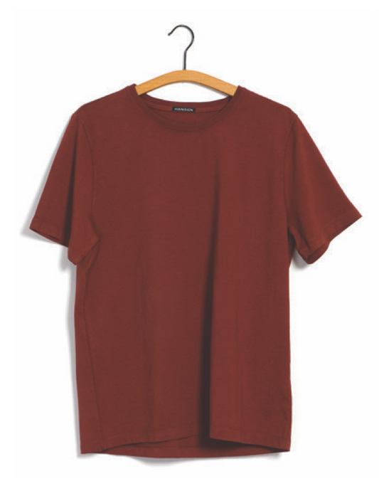 HANSEN - T-Shirt JULIAN | terracotta