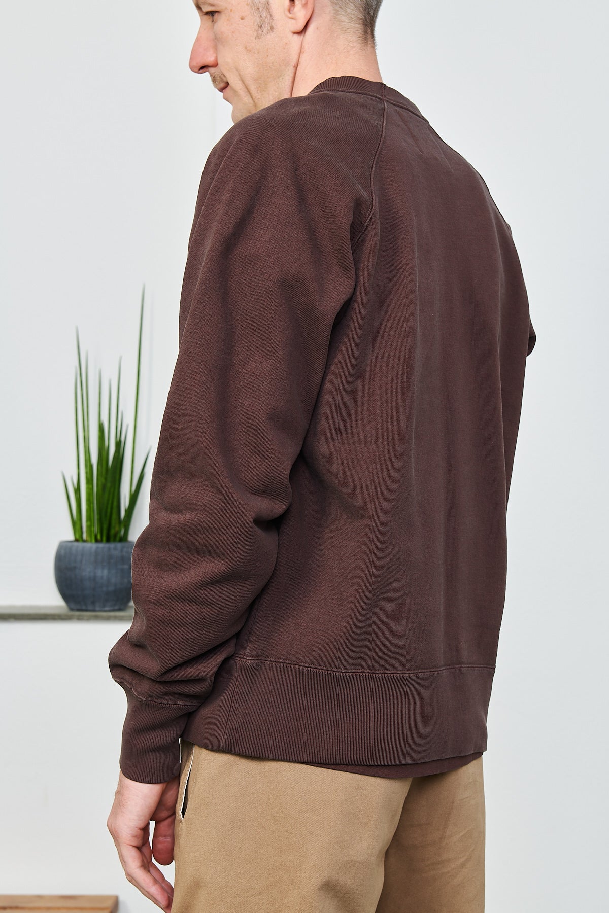EDWIN - Sweatshirt RAGLAN SLEEVE CREWNECK | mole